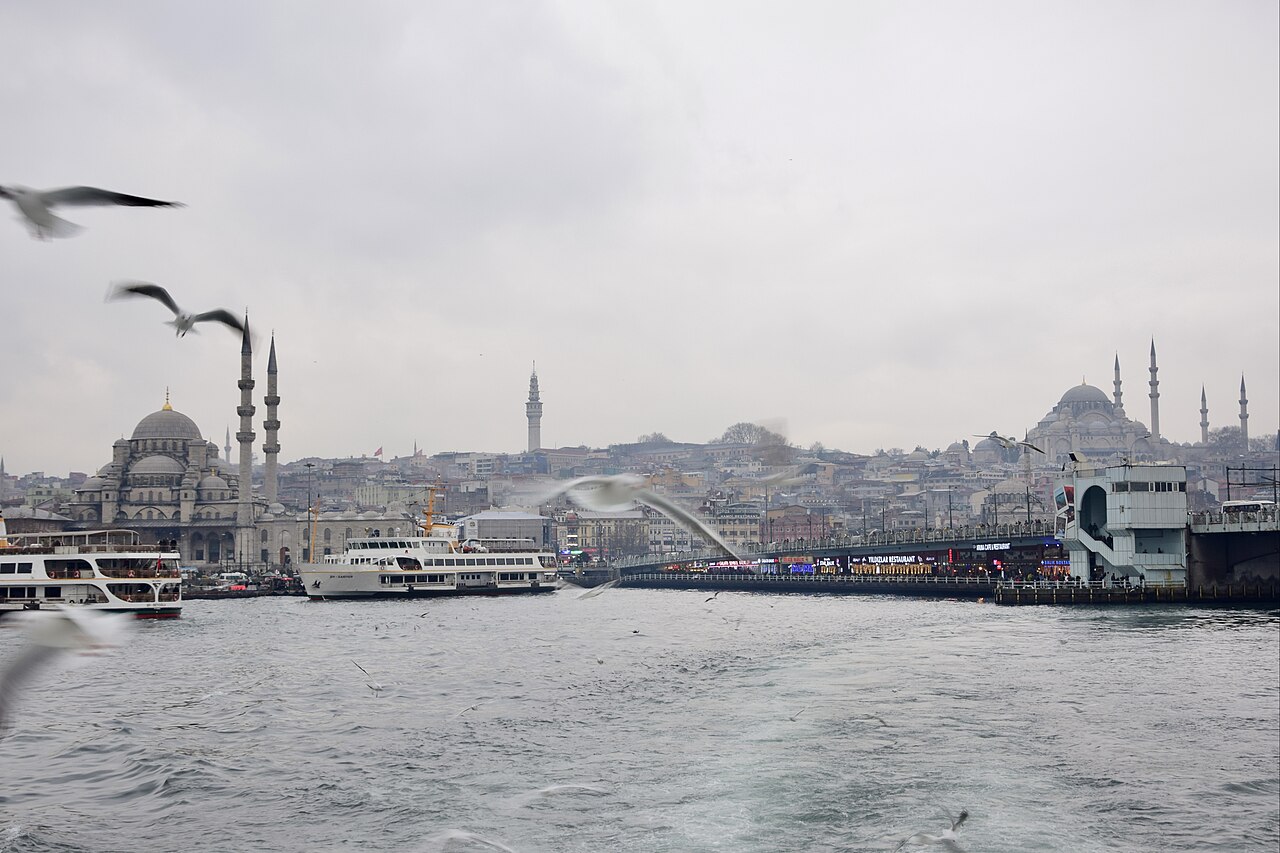 Seagulls above boats and a bridge on the Istanbul waterfront