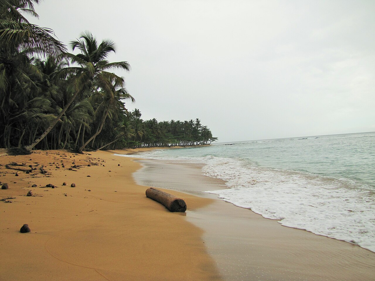 Palm trees and the shoreline at Praia Inhame on São Tomé