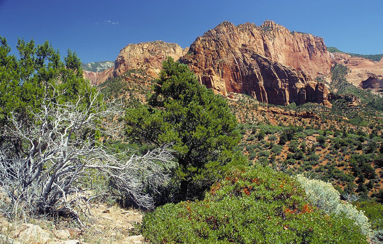 Red sandstone cliffs in the Kolob Canyons area of Zion National Park.