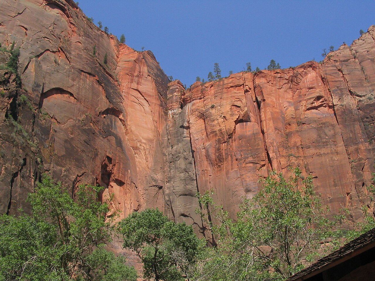 Sandstone walls near the Temple of Sinawava in Zion Canyon.