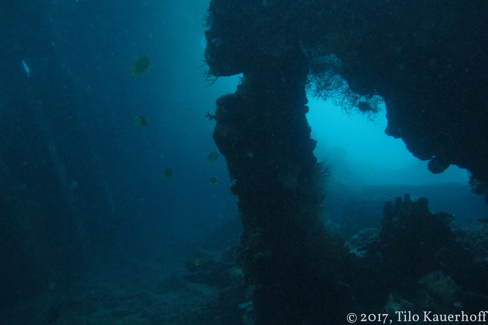 Encrusted steel ribs of a sunken ship underwater, framing a gap of pale blue light, with small yellow fish hanging in the dark interior