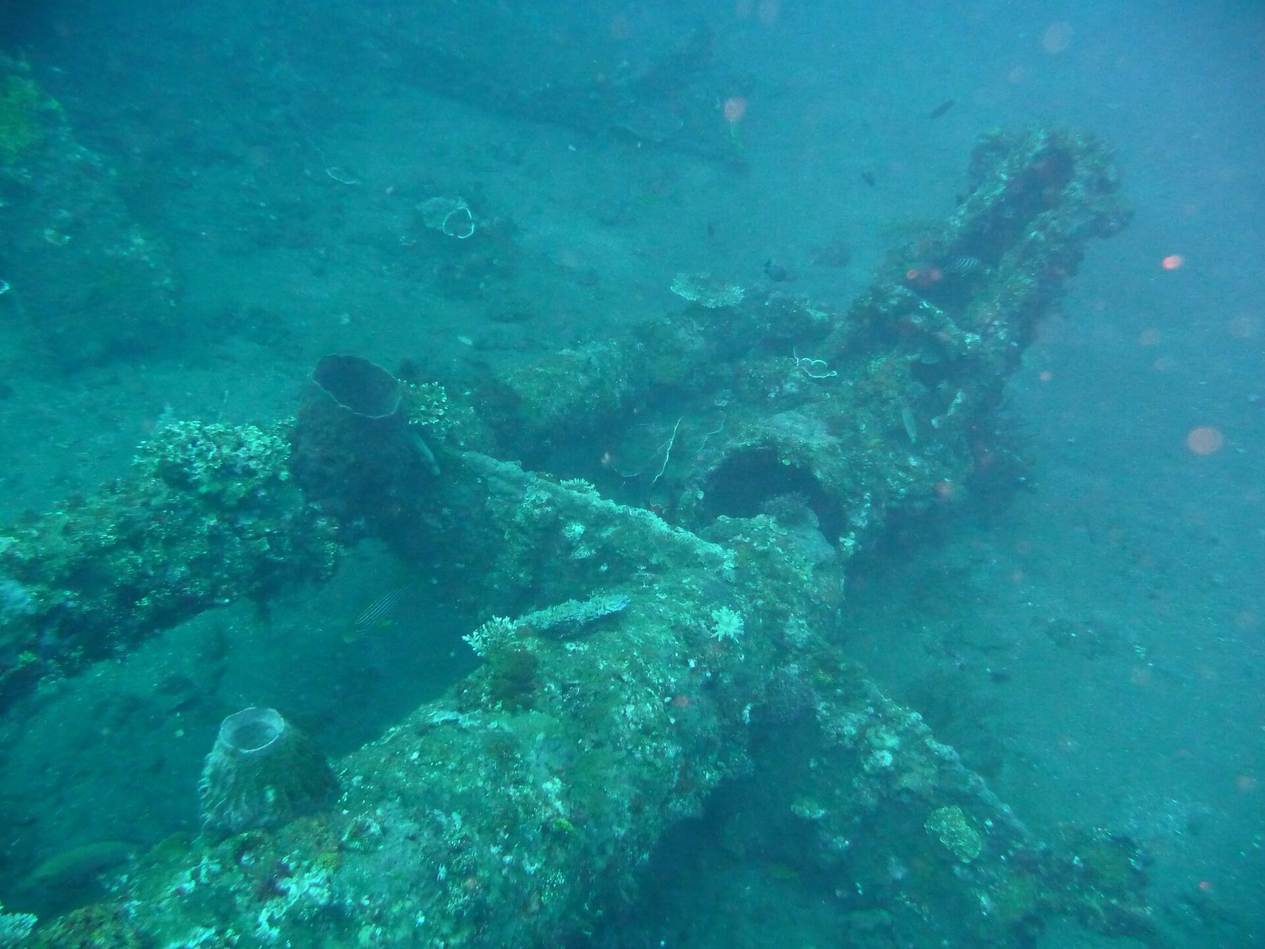 A ship's crane thick with coral growth rises from a dark sandy slope underwater
