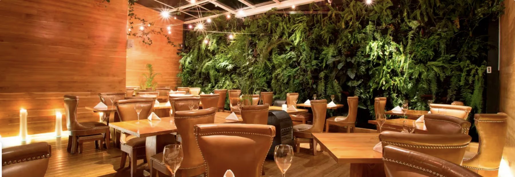 The dining room of El Cielo in Chapinero: wooden tables set with wine glasses, tan leather armchairs, candles along a timber wall and a floor-to-ceiling wall of ferns