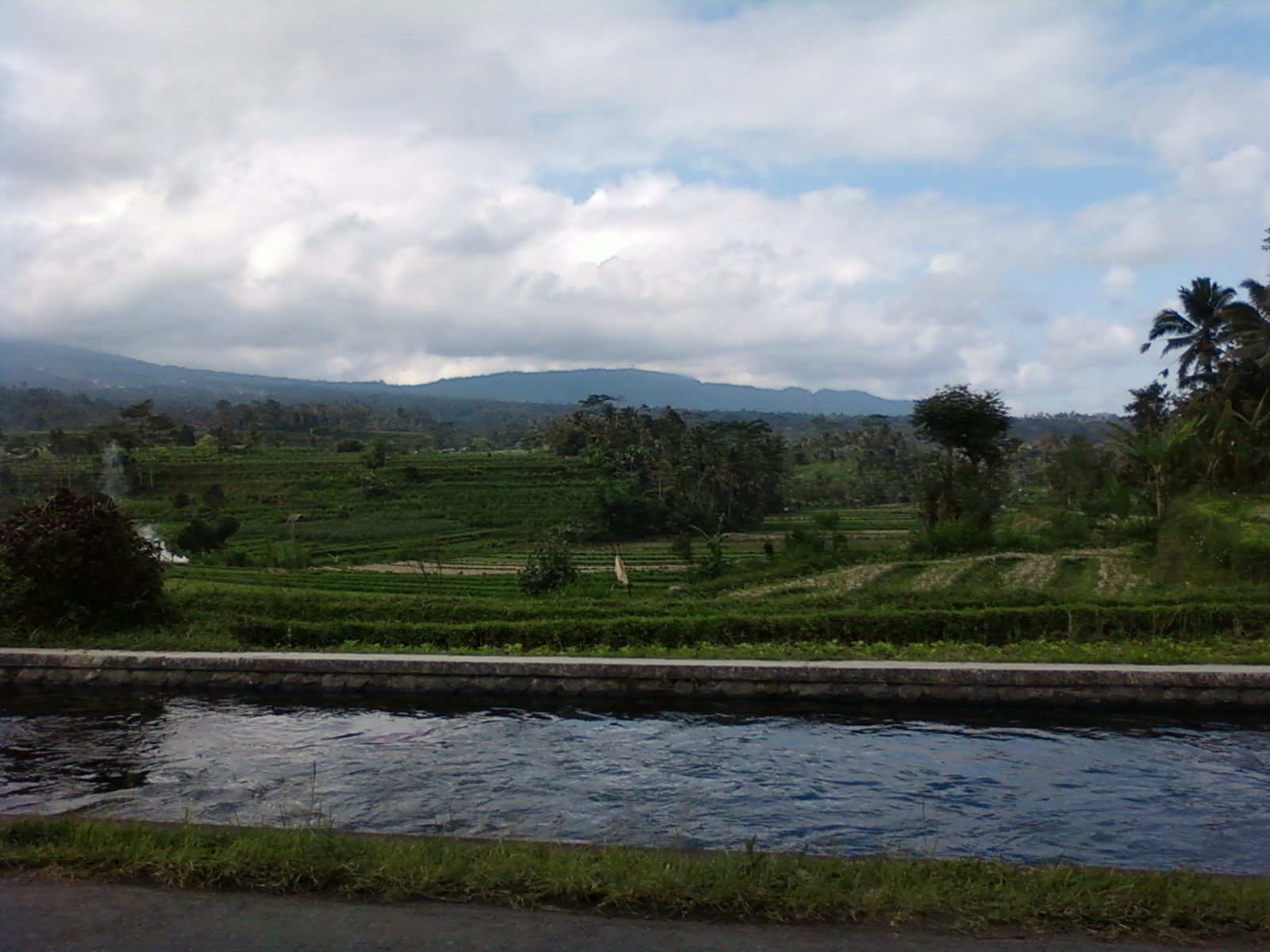 Terraced rice fields filling a green valley at Sidemen in east Bali, with palms and a ridge line beyond