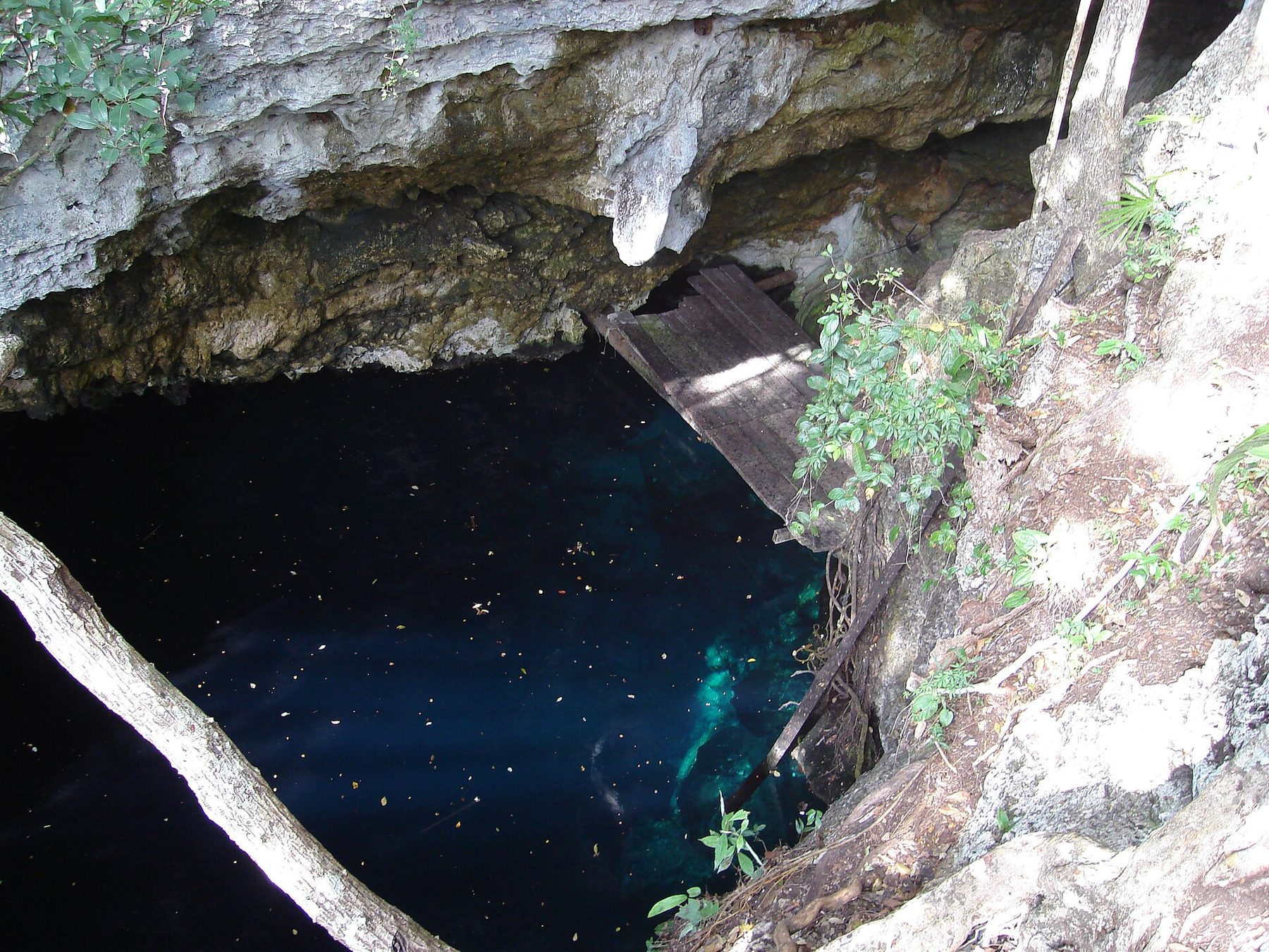 The open surface of The Pit cenote seen from the rim, dark still water ringed by pale limestone walls and thick green jungle