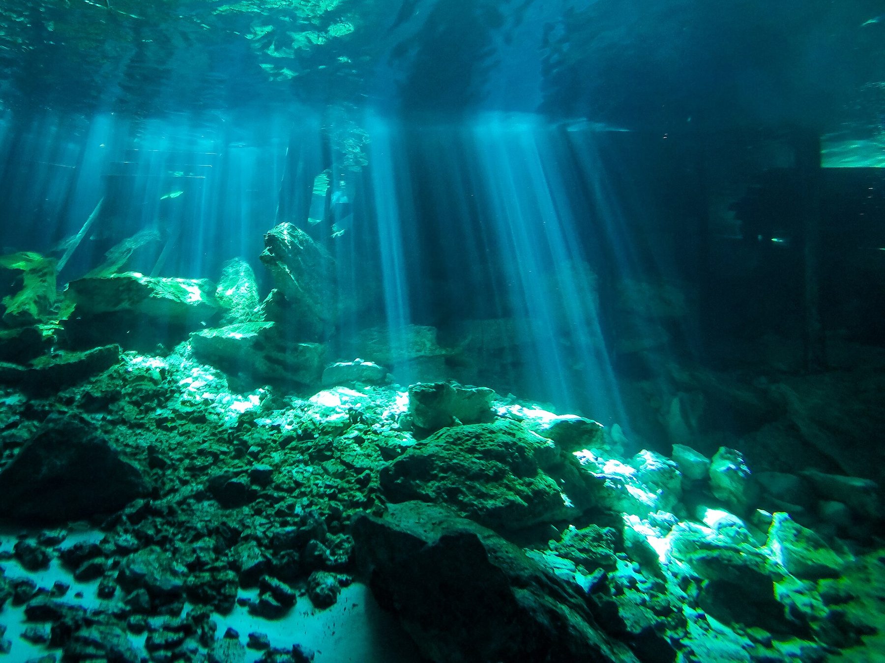 Sunbeams cut through clear water inside the Dos Ojos cave system, lighting a slope of pale limestone rubble on the cavern floor