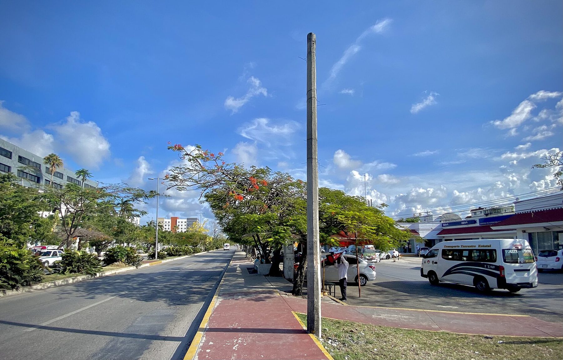A wide multi-lane avenue in downtown Cancún lined with low shopfronts, signs and palms under bright daylight.