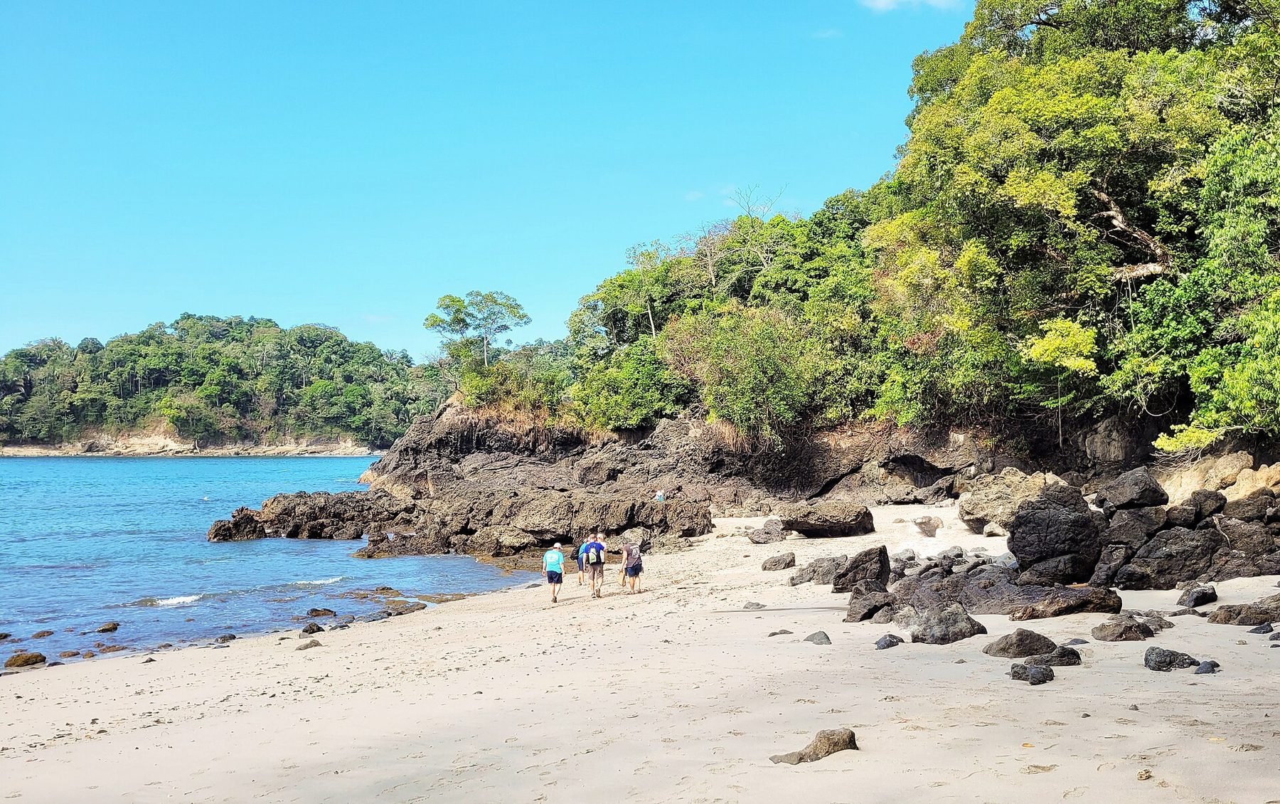 A curve of pale sand inside a forested headland, with calm green water and low surf under a bright sky