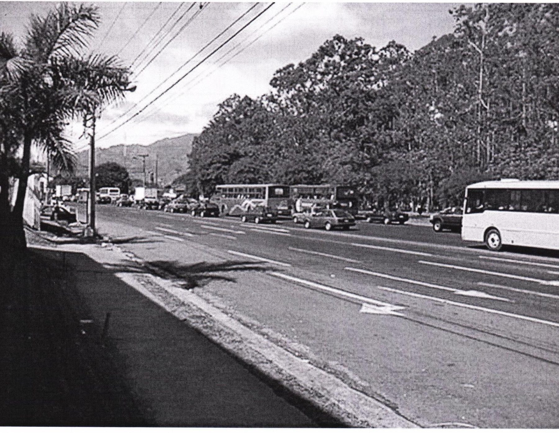 A black and white photograph of traffic on a wide multi-lane road, a bus and several cars passing beneath palm trees with a wooded hillside behind