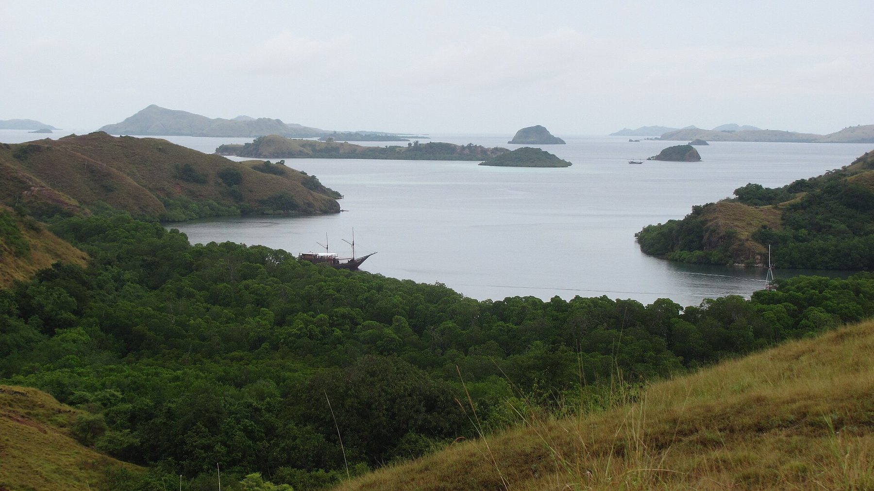 A wide calm bay on Rinca ringed by low brown hills, with a jetty running out from a curved beach