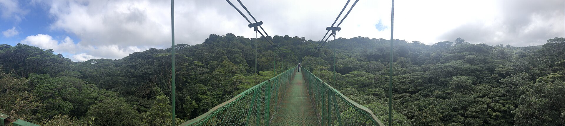 A long green steel suspension bridge runs level across the top of the forest canopy under a cloudy sky, with a single walker far along it