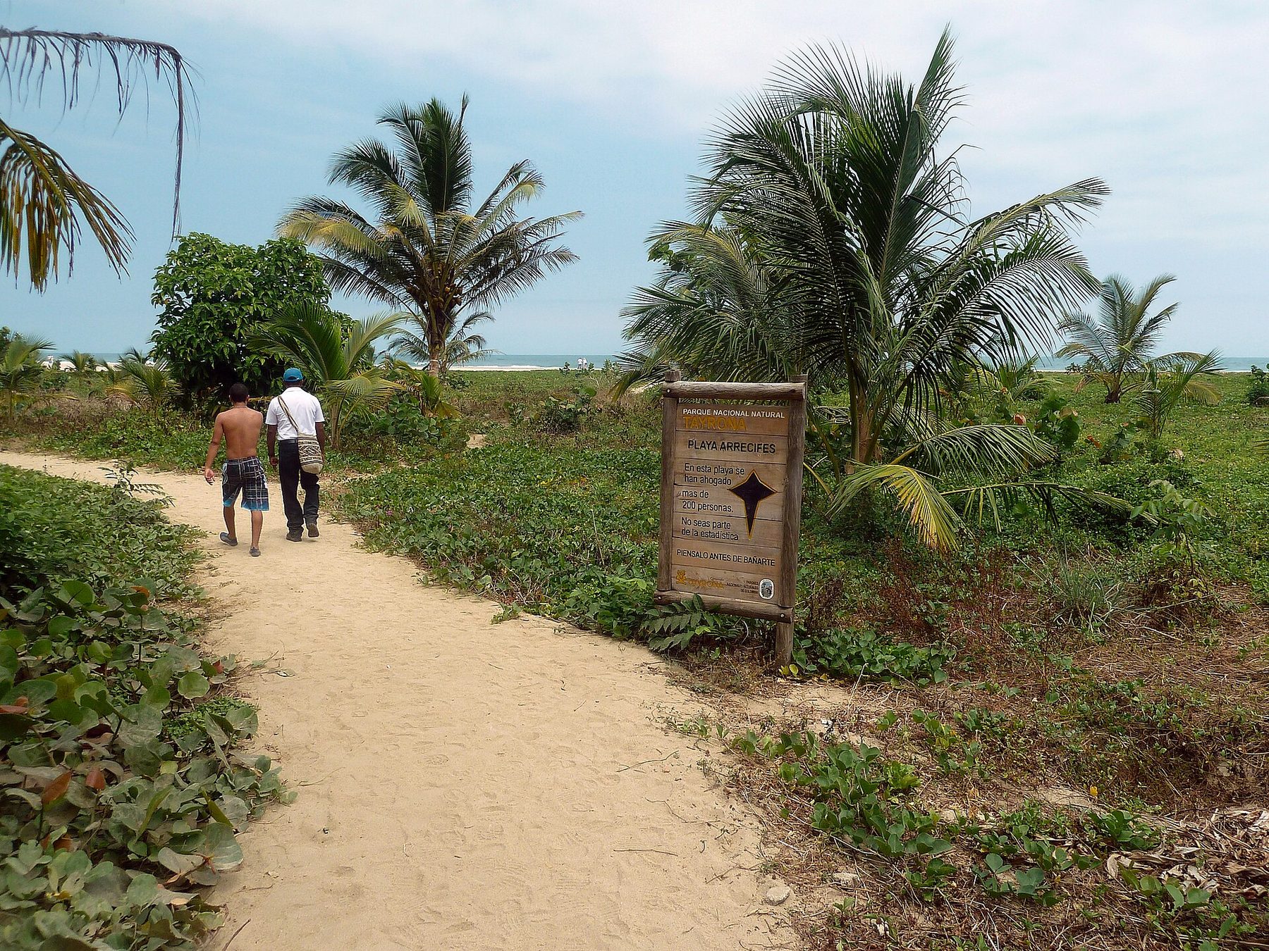 A wooden park sign board at a sandy forest path leading to a beach, with palms and sea behind it