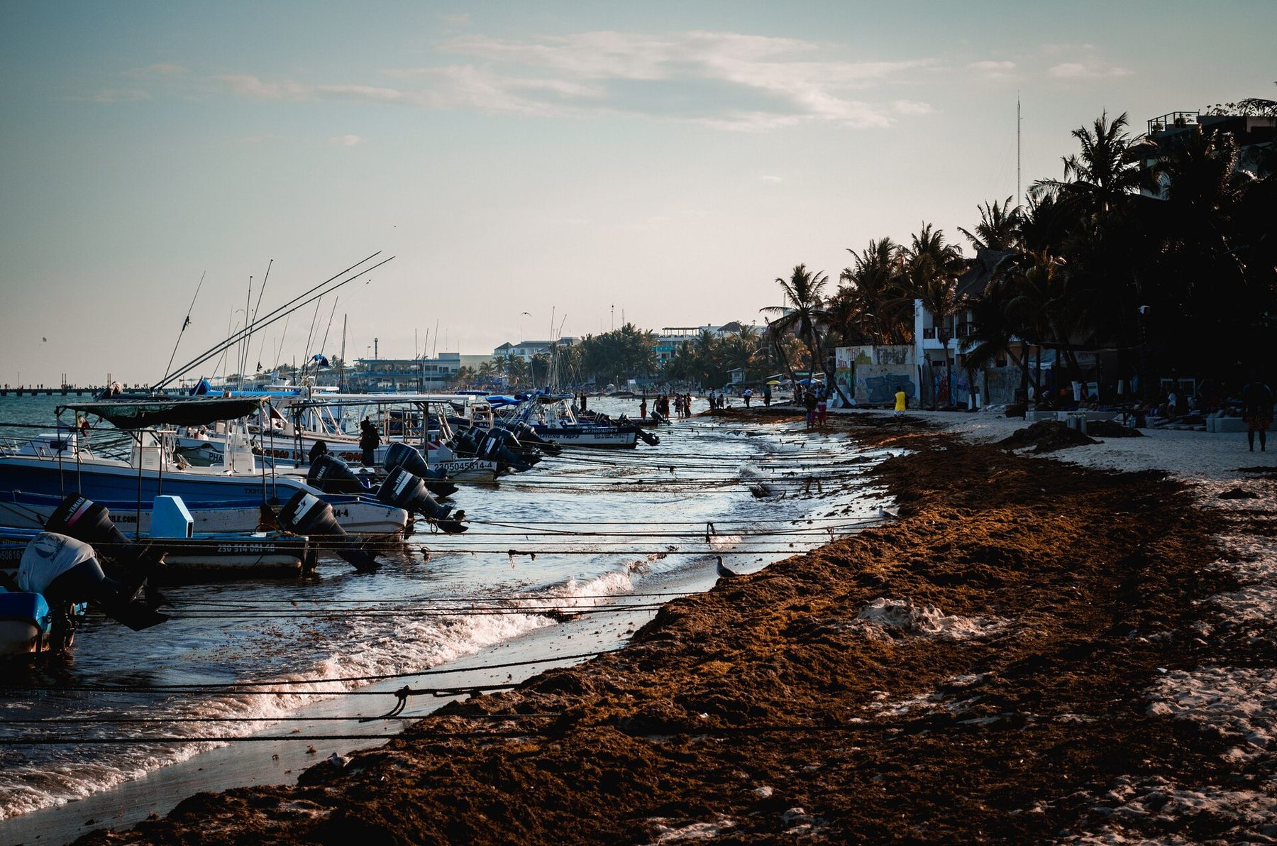 Small open boats pulled up on the sand at Playa del Carmen beneath a bright sky