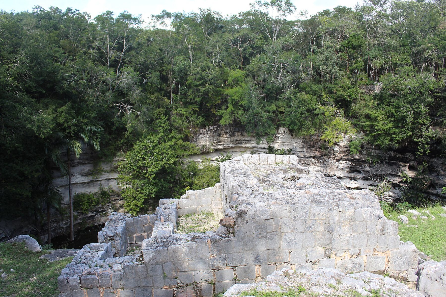 Swimmers float in a round, open-roofed sinkhole with vines hanging from the rim and daylight falling on the water