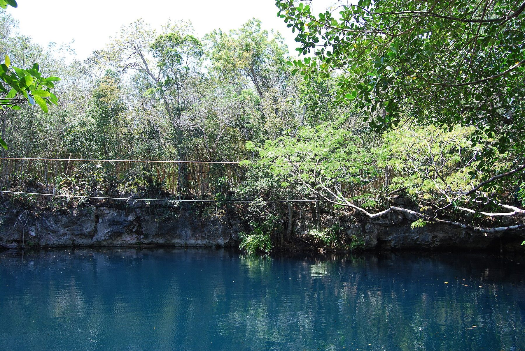 Still green water inside Cenote Angelita seen from the shoreline, ringed by limestone rock and dense jungle