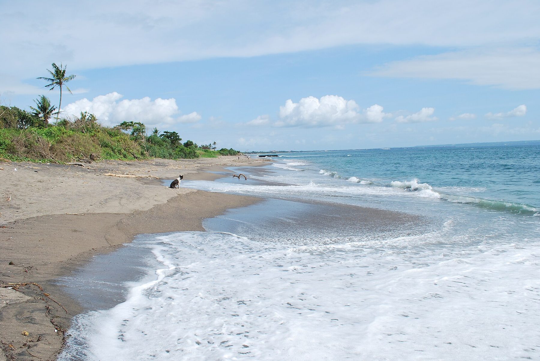 Surf breaking over the dark volcanic sand of Canggu Beach with a dog on the sand and two figures far down the beach