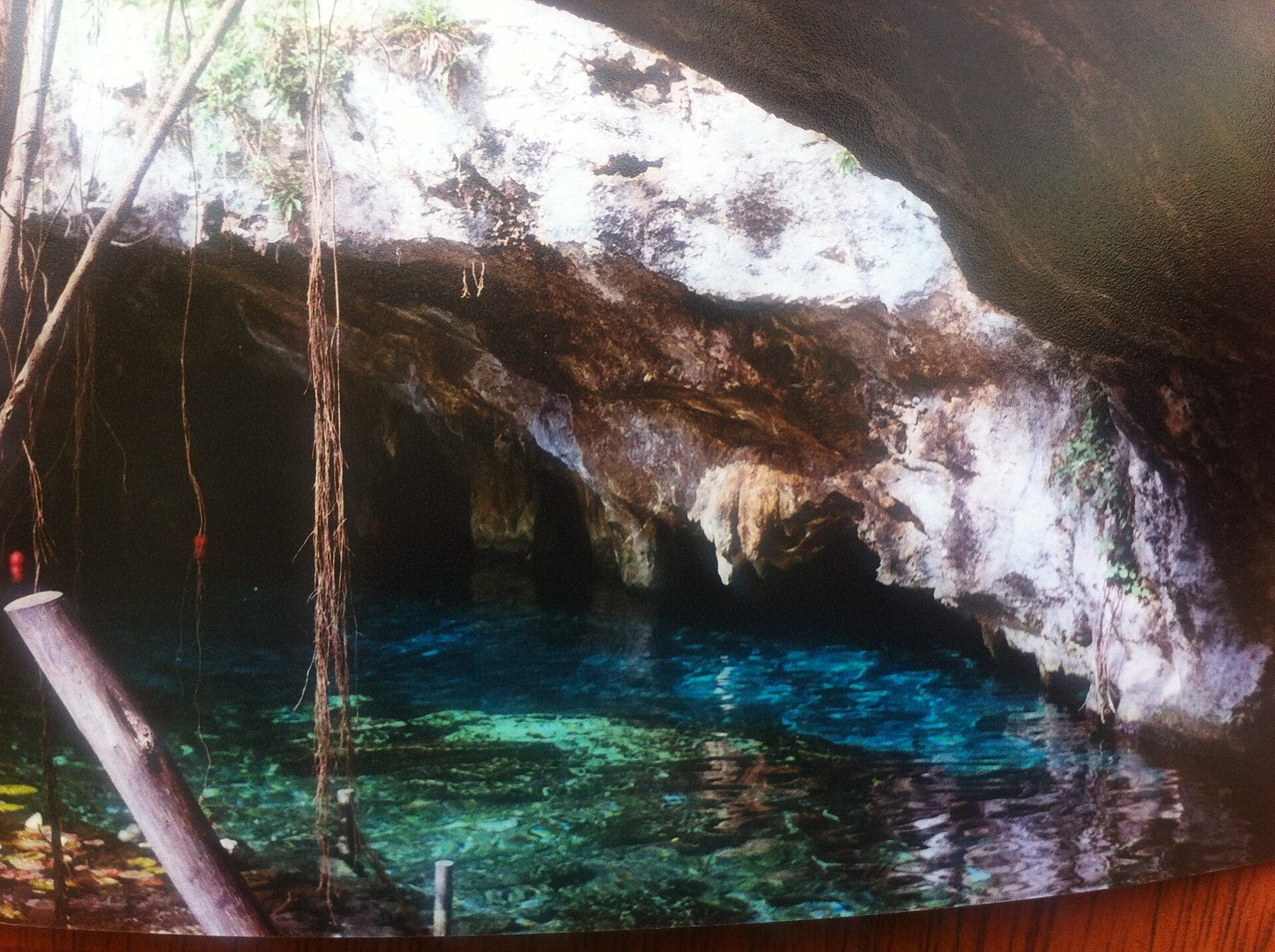 Clear turquoise water in an open limestone sinkhole, ringed by rock overhangs, hanging vines and jungle