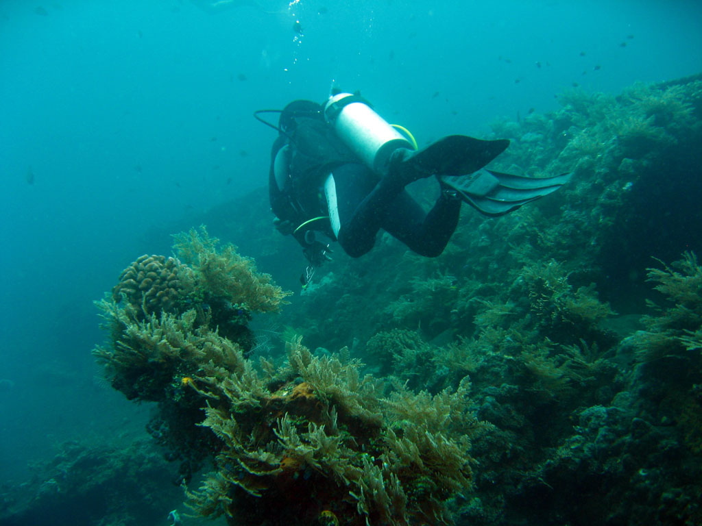 A diver in full scuba gear fins along the encrusted steel plates of a large shipwreck in blue water