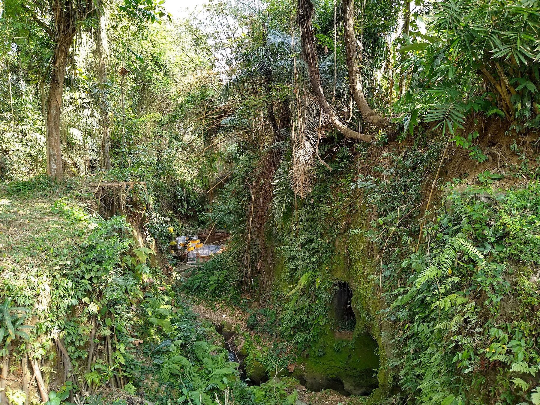 A quiet lane between garden walls and palm trees in the village of Penestanan, with low buildings and greenery beyond