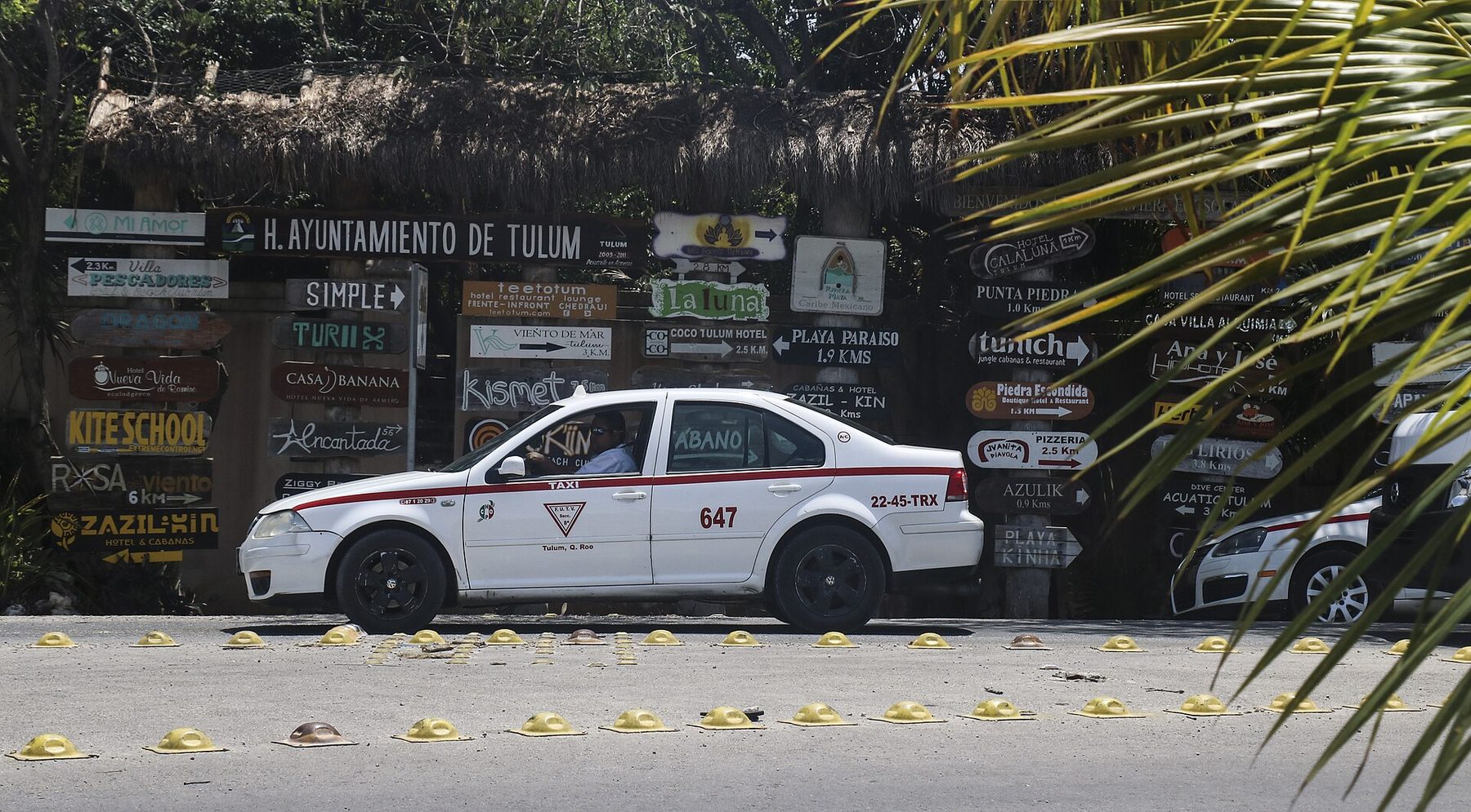 A white and green Tulum taxi parked on a roadside verge under palms and low jungle, its driver's door open