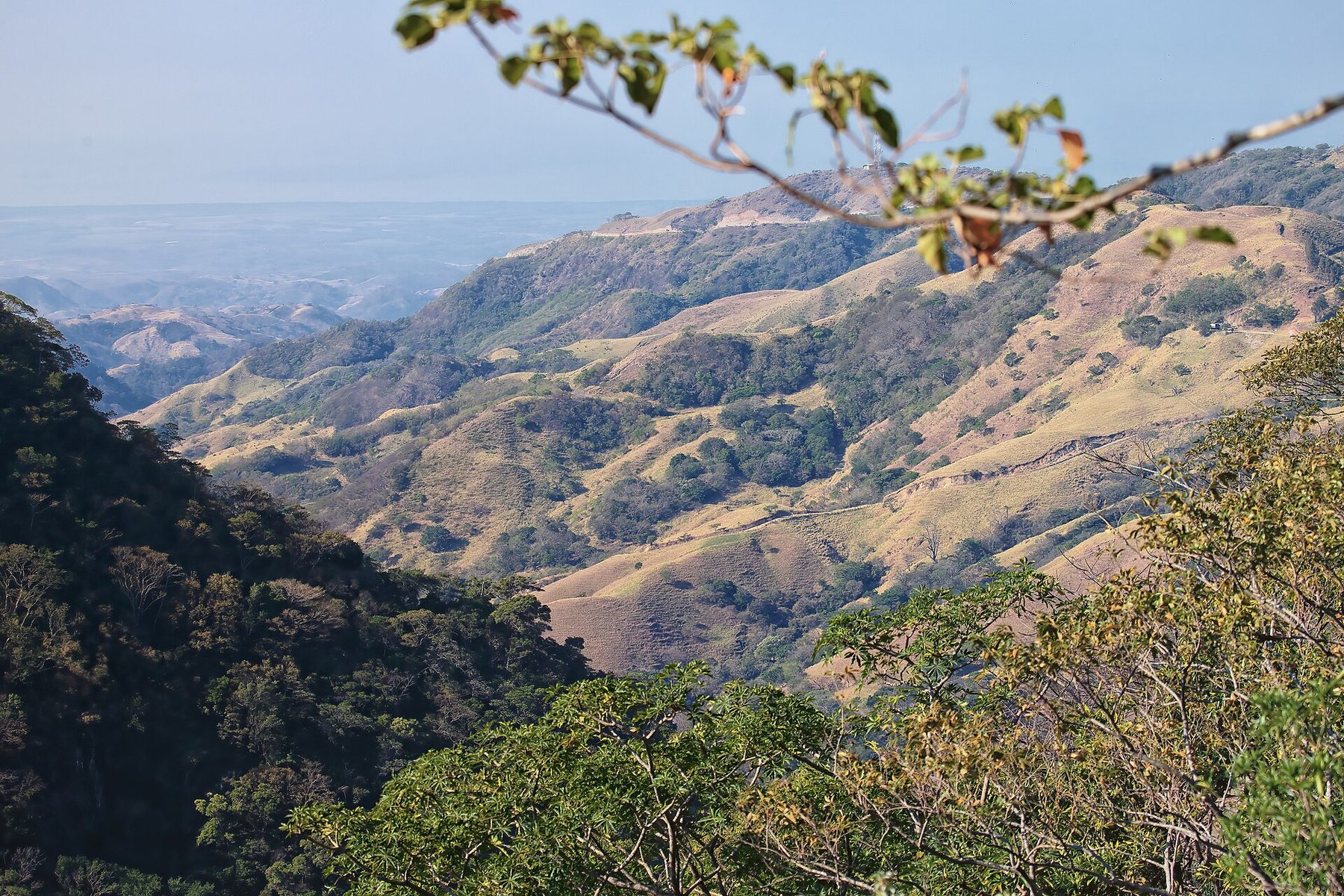 Forested ridges above Santa Elena seen from a trail, cloud sitting in the valleys between them