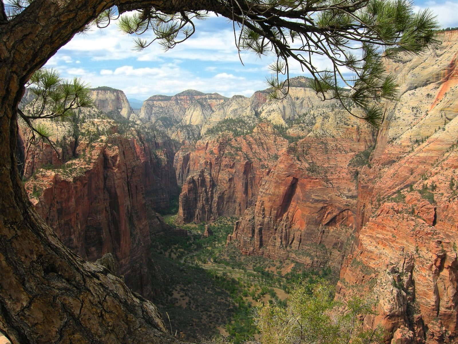 Looking north up Zion Canyon from the Angels Landing trail toward the Narrows, with the Virgin River far below