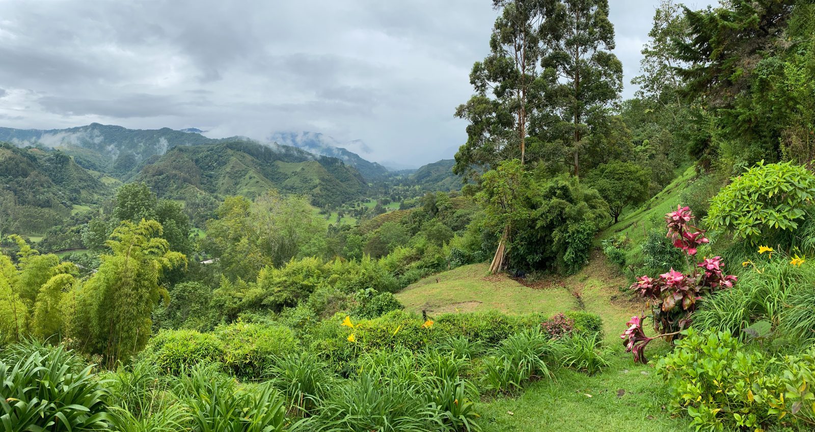 View across Cocora Valley in Colombia