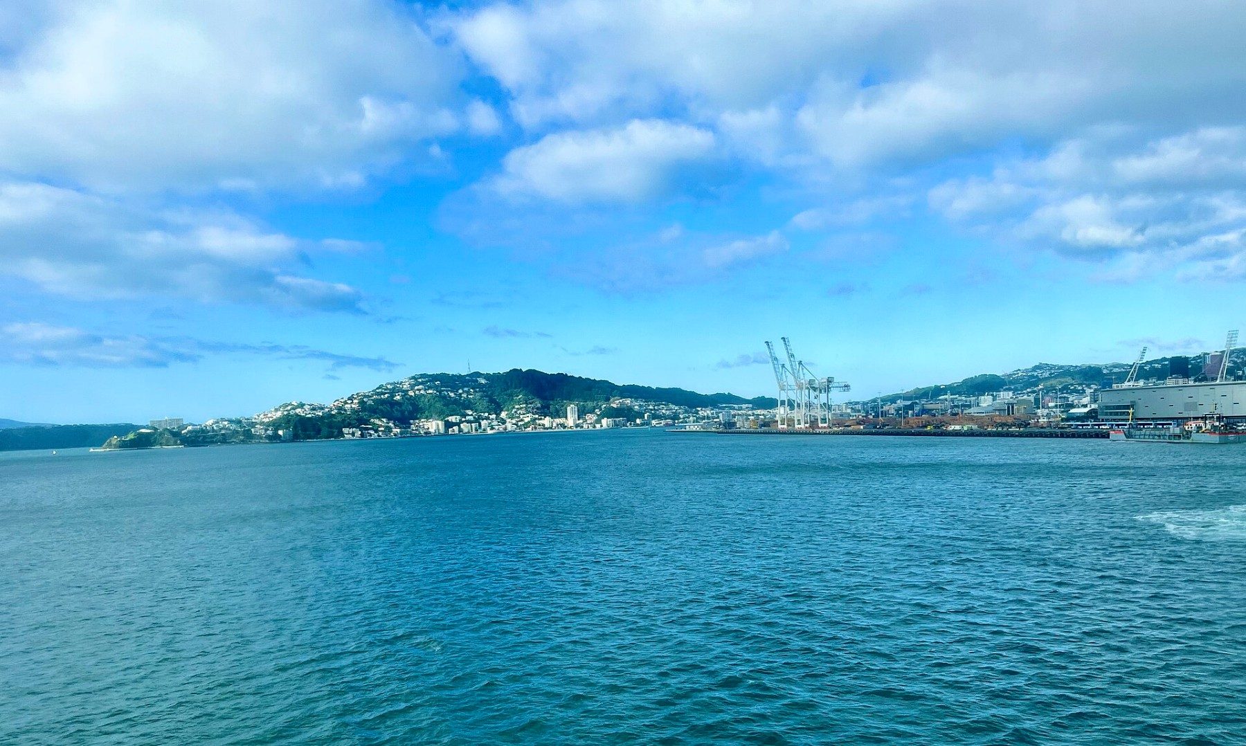 Wellington Harbour with the city and hills beyond the water