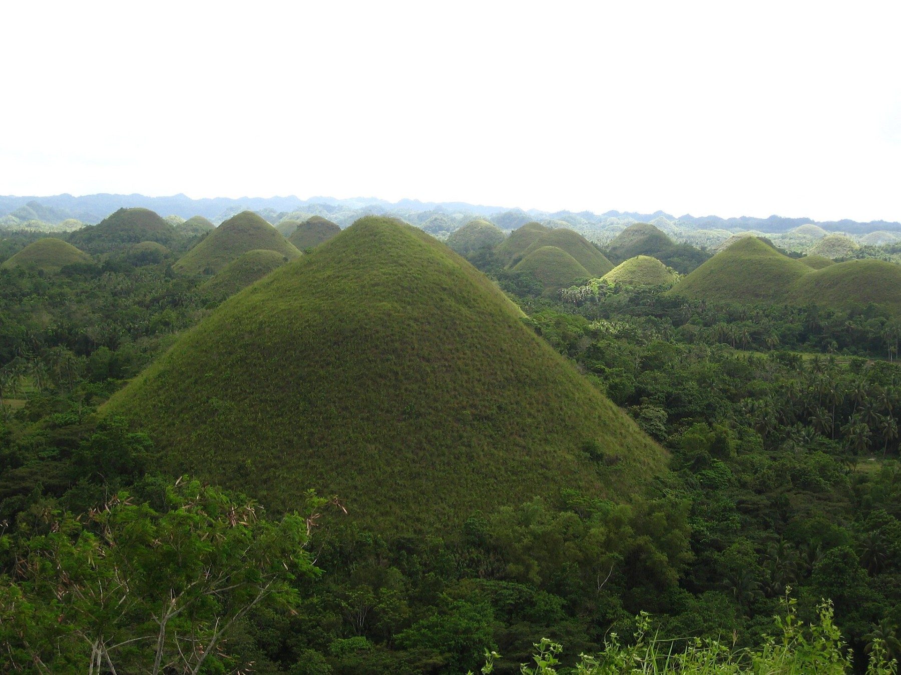 Rounded Chocolate Hills rising above green vegetation in Bohol