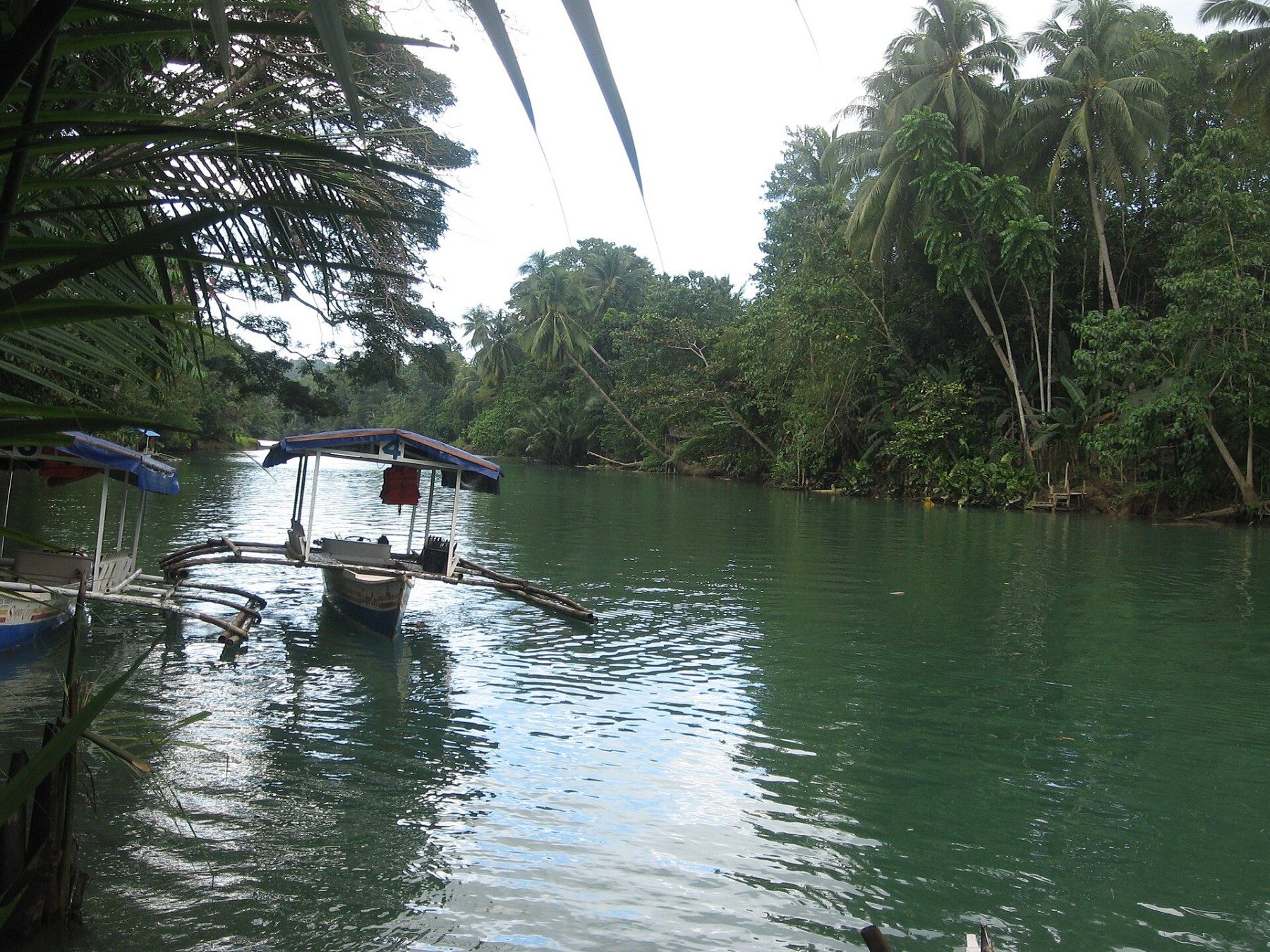 Loboc River bordered by dense green vegetation in Bohol